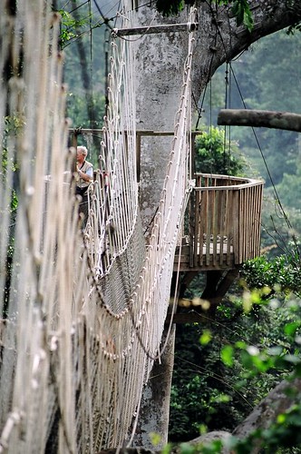 Kakum rope bridges | by spinning jenny
