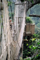 Kakum rope bridges | by spinning jenny