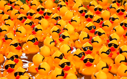 Rubber Ducks with Sunglasses | by DavidDennisPhotos.com