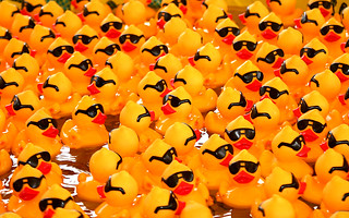 Rubber Ducks with Sunglasses | by DavidDennisPhotos.com