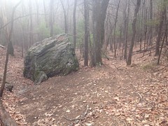 Rock on PR Gap Trail 
