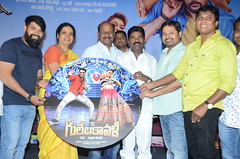 Gulebakavali Movie Audio Launch Stills