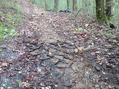 Exposed Geotextile 