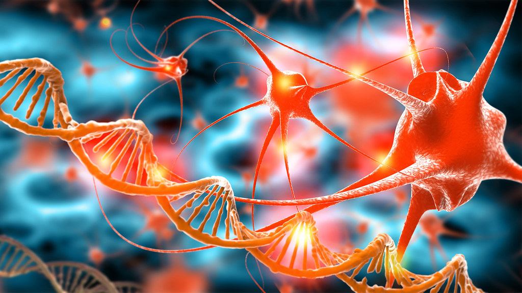 DNA和活性细胞的三维渲染