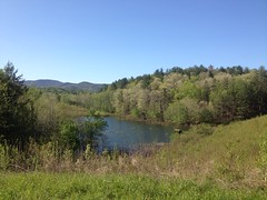 Jones Creek Lake 