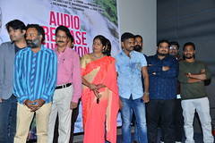 Naa Love Story Movie Audio Launch Stills