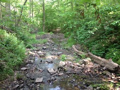 Some Creek 
