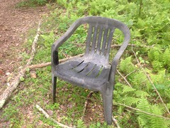Chair I Found in the Woods 