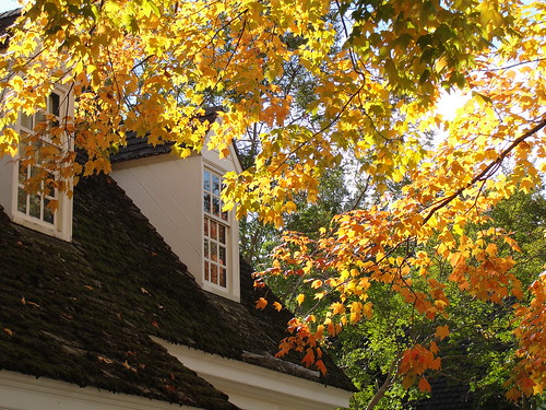 Fall Colors in the Colonial Capital | Colonial Williamsburg | Flickr