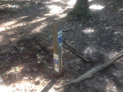 Trail Markers 