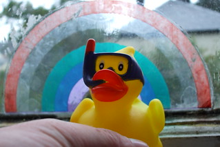 ode to a small rubber duck I found in the street  one day | by ztephen