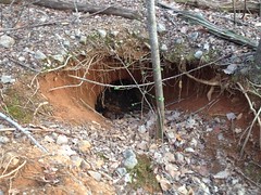 Weird Hole in the Ground 