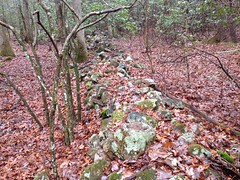 Old Angel Drive Rock Wall 