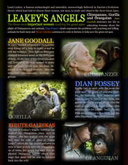 Leakey&#39;s Angels - Jane Goodall, Dian Fossey & Birute Galdi… | Flickr