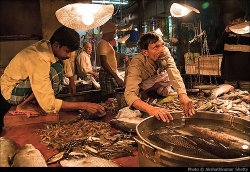 live fish | Kolkata | Shot at Manicktala (Fish Market), Nort… | Flickr