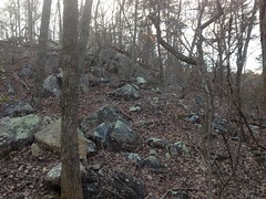 Rocks Near Pine Log Gap 