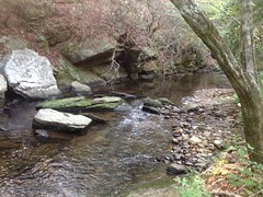 Stamp Creek - Rocks 