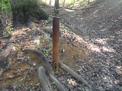 Old Rail in East Conner Cut 