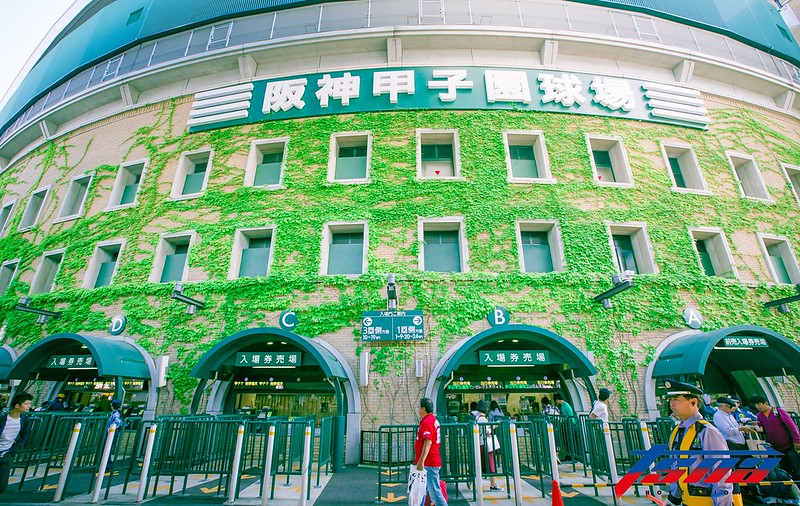 高橋遙人在阪神甲子園球場創下超過半世紀的紀錄。（資料照，特派記者侯禕縉／現場拍攝）