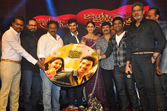 JayaJanakiNayaka Movie Audio Launch Stills