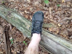 Hiking Shoe 