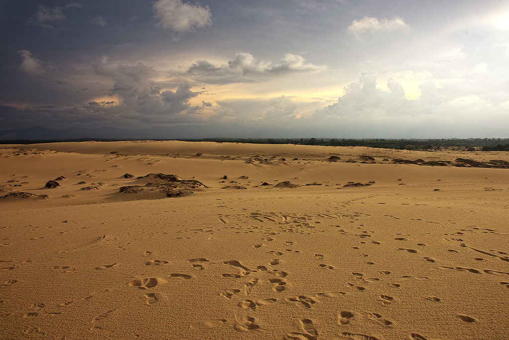 Cồn cát Quang Phú vào xế chiều