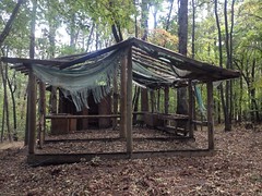Former Camp Appalachian Wilderness - Primitive Camp 4 