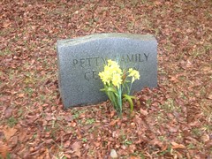 Petty Family Cemetery Marker 