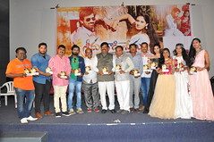 Seenugadi Prema Movie Audio Launch Stills