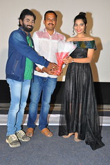 Seenugadi Prema Movie Audio Launch Stills