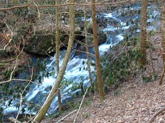 Lower Jones Creek Falls from the Trail 