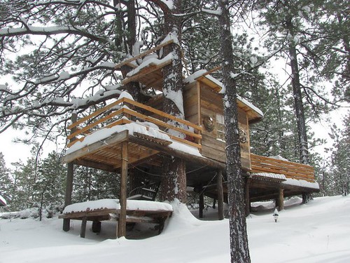 treehouse in the snow | This is the tree house my hubby and … | Flickr