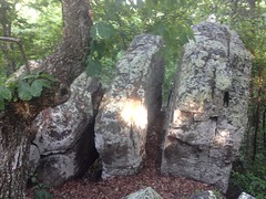 Rocks Along the Johns Mountain Trail 