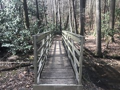 The Replacement for the Slipperiest Bridge in the Forest 