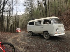 VW Vans at Holly Creek Gap 