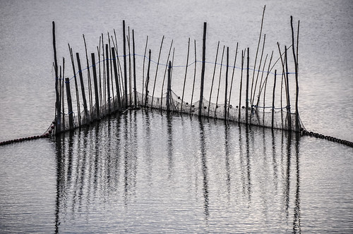 Fishing net poles Albufera Valencia | keith ellwood | Flickr