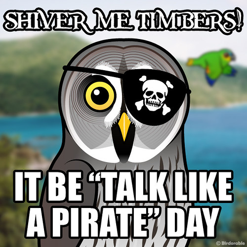 Talk Like a Pirate Day Shareable TLAP graphic Flickr