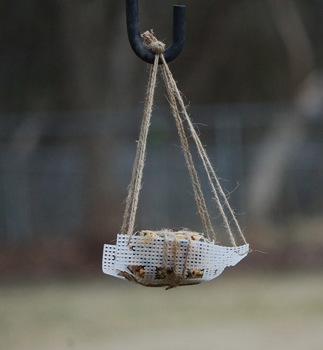 homemade-suet-holder-redneck-suet-cage-it-will-work-in-a-flickr