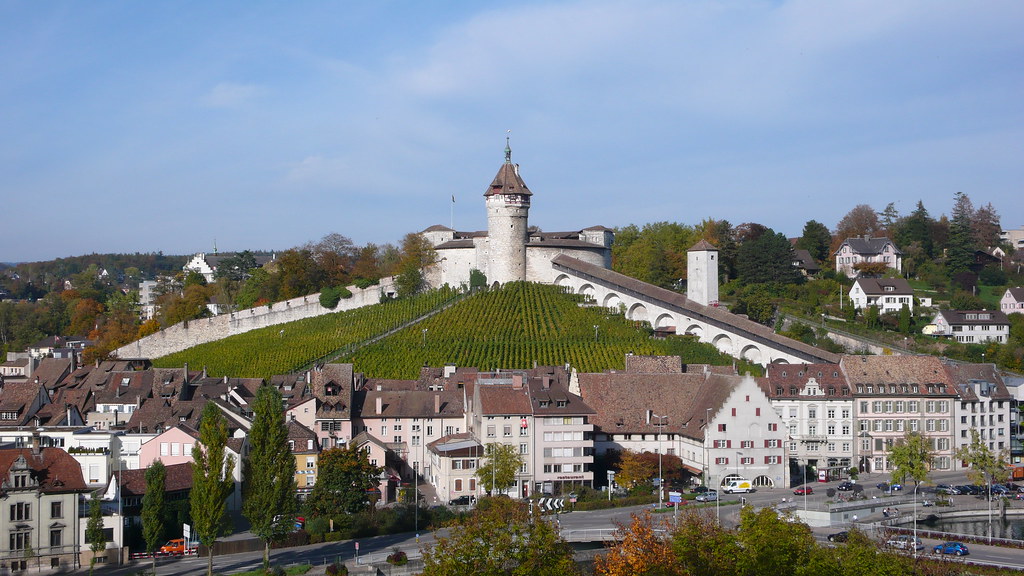 Vineyard at Sunset, Munot Castle, Schaffhausen, Switzerland без смс