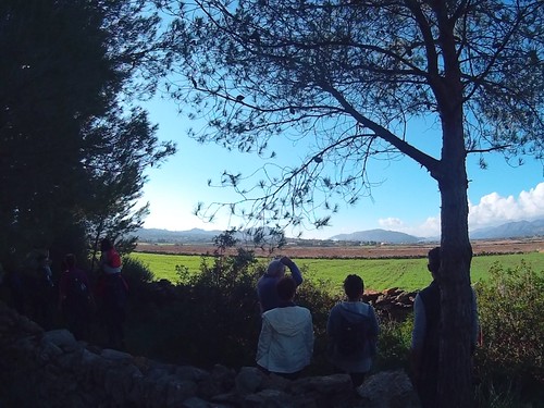 things to do in Alcudia: walk to Albufereta