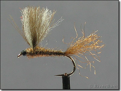 CDC Dun Mahogany | Fly fishers on waters with selective trou… | Flickr