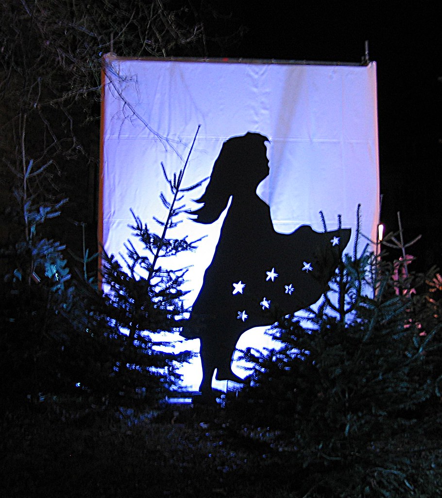 Sterntaler | Ein Märchenwald schöne Lichtillumination / Sche… | Flickr