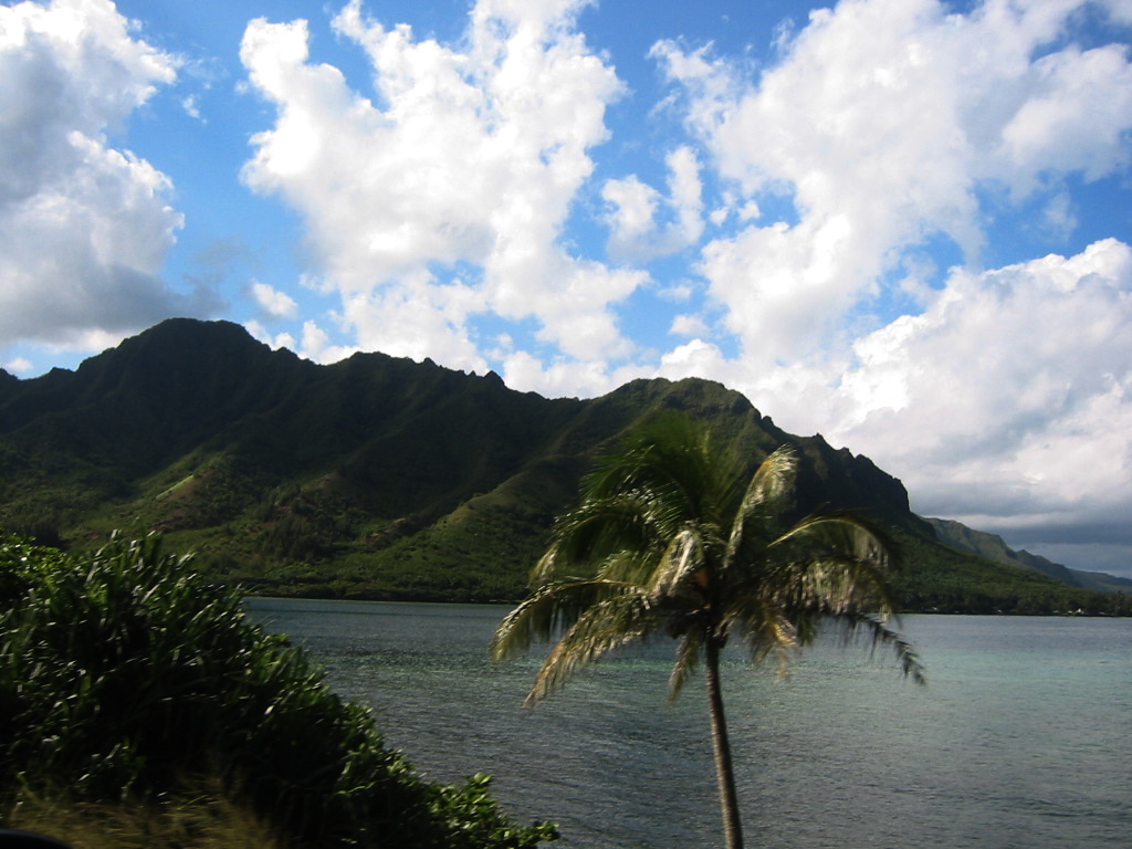 Enjoy At All The Delights That Oahu Can Offer