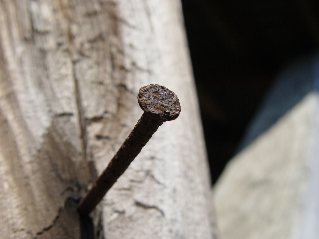 Rusty Nail | Took this on a shed on a farm near ...