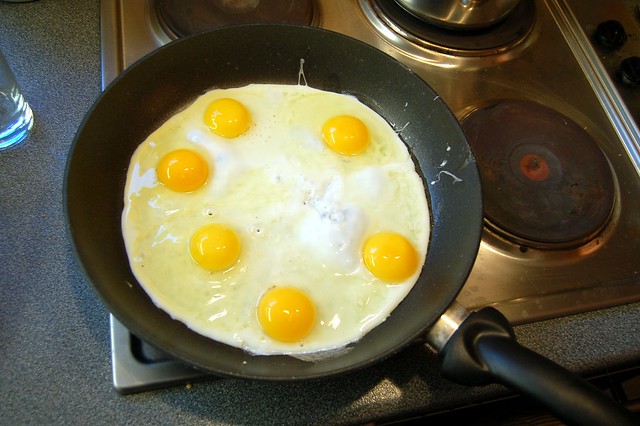 can-dog-eat-eggs
