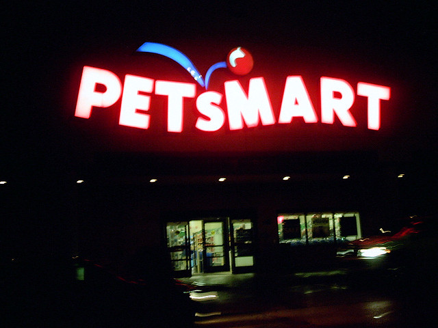 Petsmart vs. Petco Where to buy?