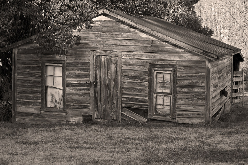 Tumbledown Shack | The wood in this old shack was just 