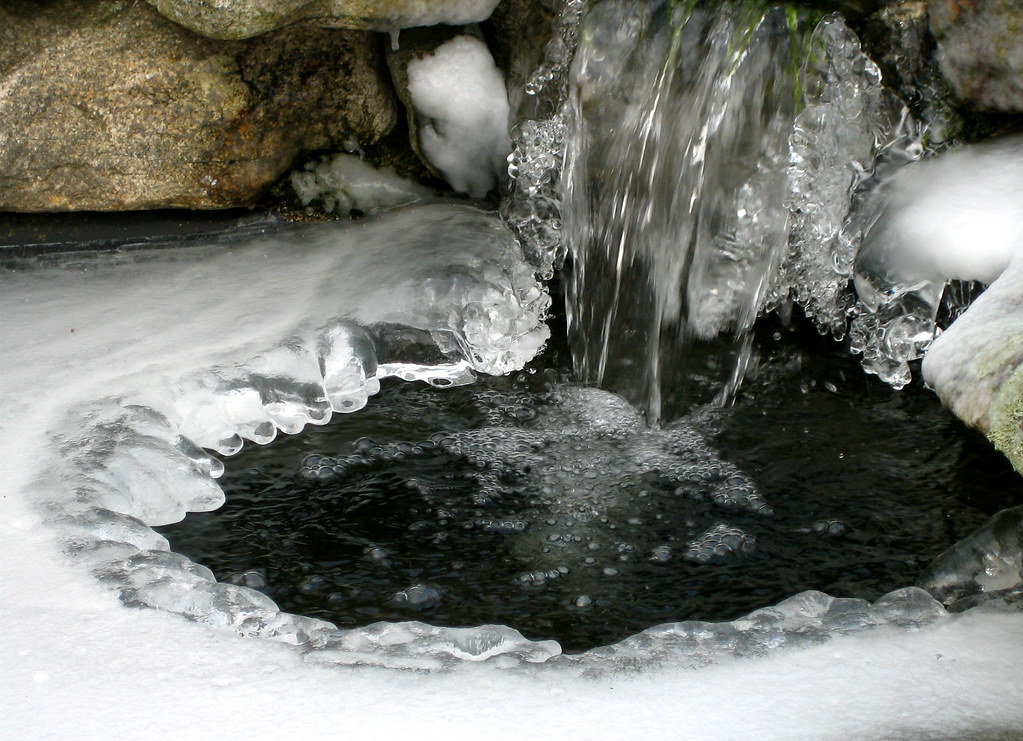 Image result for winter pond