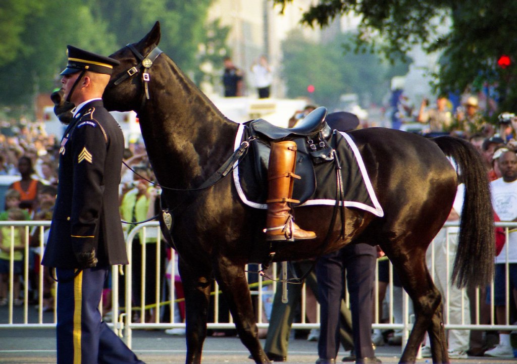 the-riderless-horse-the-riderless-horse-from-president-rea-flickr