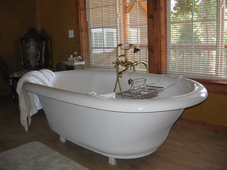 the bathtub